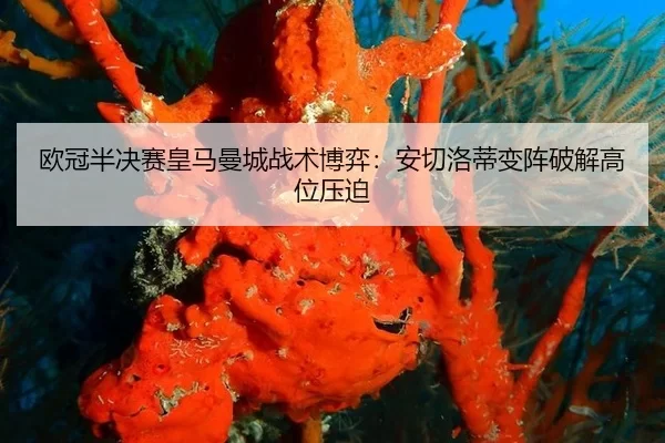 ou-guan-ban-jue-sai-huang-ma-man-cheng-zhan-shu-bo-yi-an-qie-luo-di-bian-zhen-po-jie-gao-wei-ya-po-2-888.jpg
