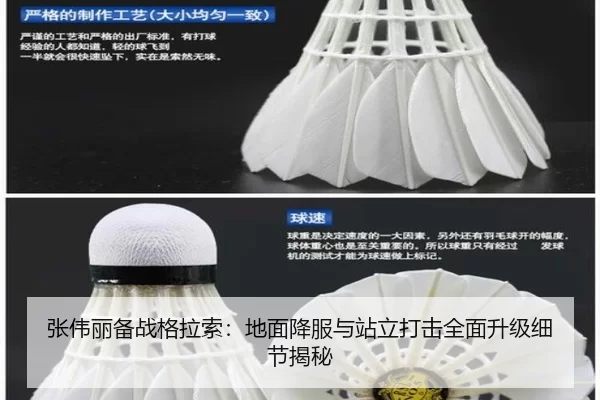 zhang-wei-li-bei-zhan-ge-la-suo-di-mian-xiang-fu-yu-zhan-li-da-ji-quan-mian-sheng-ji-xi-jie-jie-mi-2-751.jpg